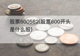 股票600562(股票600开头是什么股)