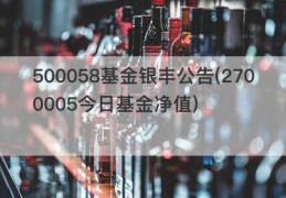 500058基金银丰公告(2700005今日基金净值)