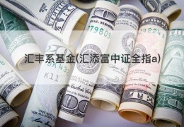 汇丰系基金(汇添富中证全指a)