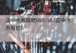 国中水务股吧(600187国中水务股吧)