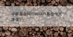 中邮基金网(590001基金今天净值)