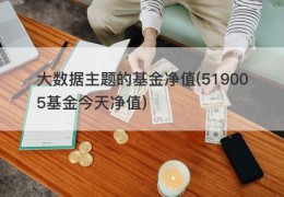 大数据主题的基金净值(519005基金今天净值)