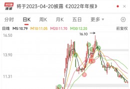 金发拉比(金发拉比是做什么的)