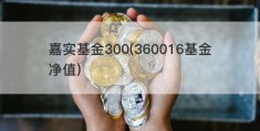 嘉实基金300(360016基金净值)